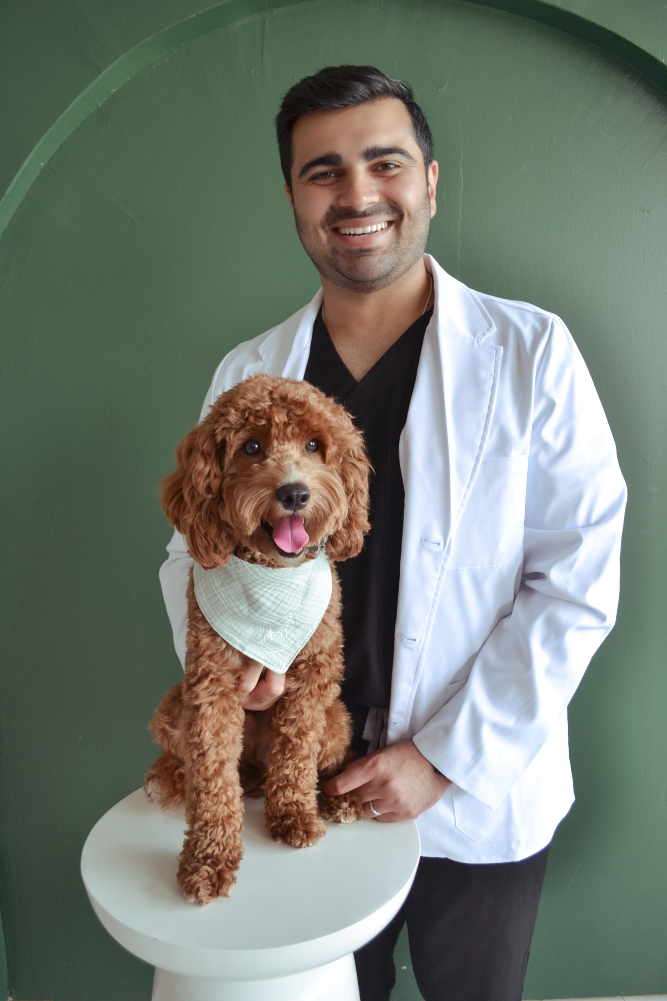 Meet Archie, Chief Barking Officer